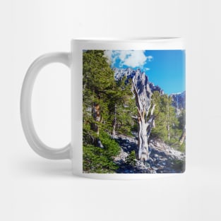 850_6884 Mug